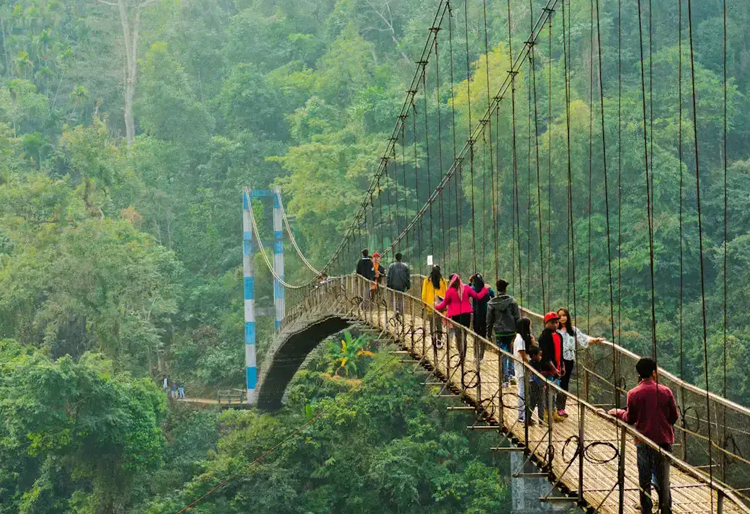 Assam and  Meghalaya