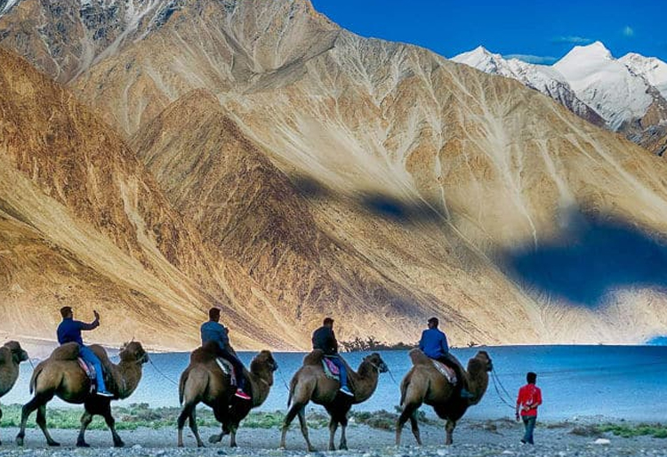 Leh Ladakh Tour